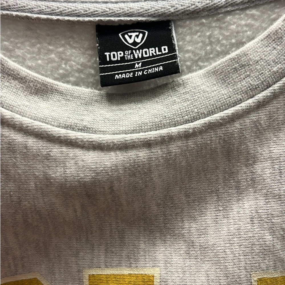 Top of the World Gray and Gold Sweatshirt - Picture 2 of 3